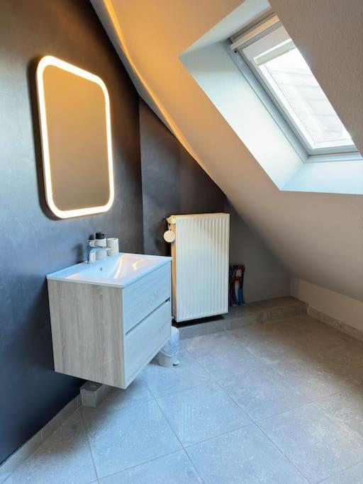 Grande Maison Au Calme Ensisheim Kültér fotó